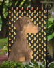Doberman #3 Candy Corn Halloween Garden