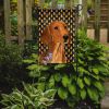 Dachshund #6 Candy Corn Halloween Garden