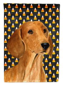 Dachshund #6 Candy Corn Halloween Garden