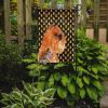 Brussels Griffon #3 Candy Corn Halloween Garden Flag