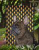 French Bulldog #5 Candy Corn Halloween Garden Flag