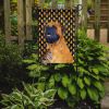 Mastiff #2 Candy Corn Halloween Garden Flag