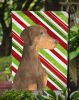 Doberman Pinscher #3 Candy Cane Christmas Garden Flag
