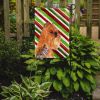 Brussels Griffon #5 Candy Cane Christmas Garden Flag