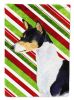 Basenji #2 Candy Cane Christmas Garden Flag