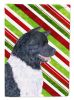 Akita1 Candy Cane Christmas Garden Flag