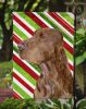 Field Spaniel Candy Cane Christmas Garden Flag