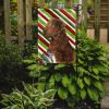 Chesapeake Bay Retriever Candy Cane Christmas Garden Flag