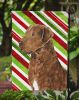 Chesapeake Bay Retriever Candy Cane Christmas Garden Flag