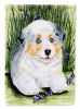Australian Shepherd 3 Garden Flag