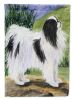 Japanese Chin 2 Garden Flag