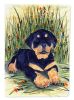 Rottweiler 6 Garden Flag