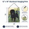Affenpinscher "Art" Wall or Door Hanging Prints