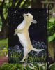 Chihuahua 2 Starry Night Garden Flag