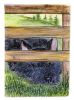 Scottish Terrier 1 House Flag