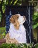 Starry Night Australian Shepherd Starry Night 3 Garden Flag