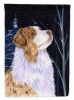 Starry Night Australian Shepherd Starry Night 3 Garden Flag