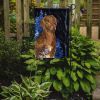Chesapeake Bay Retriever Starry Night 2 Garden Flag