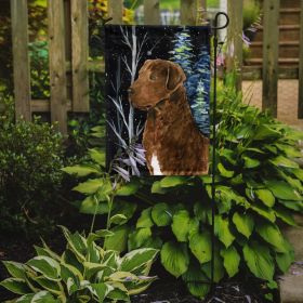 Chesapeake Bay Retriever Starry Night 3 Garden Flag