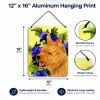 Norwich Terrier 4 "Art" Wall or Door Hanging Prints