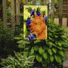 Norwich Terrier 5 Garden Flag