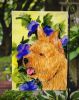 Norwich Terrier 5 Garden Flag