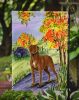 Chesapeake Bay Retriever 2 Garden Flag