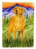 Chesapeake Bay Retriever 2 House Flag