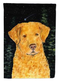 Chesapeake Bay Retriever Starry Night 4 Garden Flag