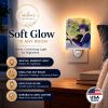 Pomeranian "with Lady driving" Ceramic Nightlight