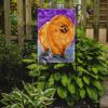 Pomeranian 8 Garden Flag