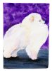Pomeranian 11 Garden Flag