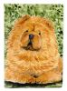 Chow Chow 12 Garden Flag