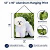 Bichon Frise 5 Art Wall or Door Hanging Prints