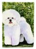 Bichon Frise 5 Garden Flag