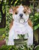Bulldog 4 Garden Flag