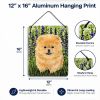 Pomeranian 16 "Art" Wall or Door Hanging Prints