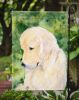 Golden Retriever 18 Garden Flag