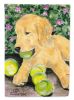 Golden Retriever 20 Garden Flag