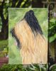Briard 6 Garden Flag