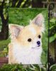 Chihuahua 8 Garden Flag