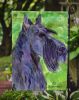 Scottish Terrier 8 Garden Flag