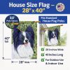 Papillon 9 House Flag