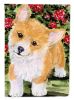 Corgi 6 House Flag