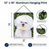 Bichon Frise 7 Art Wall or Door Hanging Prints