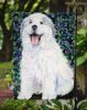 Great Pyrenees 7 Garden Flag