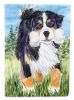 Bernese Mountain Dog 14 House Flag