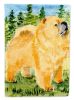 Chow Chow 11 House Flag