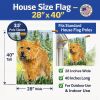 Norwich Terrier 7 House Flag