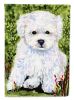 Bichon Frise 7 Garden Flag